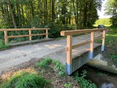 Brückengländer Pickenbach