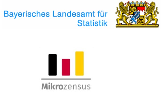 Mikrozensus